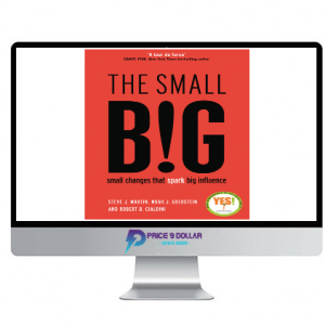 The Small BIG – Small Changes that Spark Big Influence