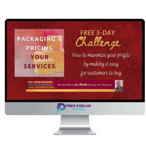 How to ‘Package & Price Your Services’ in just 5 Days