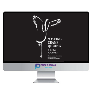 Soaring Crane Qigong – master Zhao Jinxiang