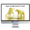 Lockeinyoursuccess – The Super Simple Spread Trades by John Locke