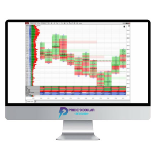 Indicatormall – Footprint Chart NT8