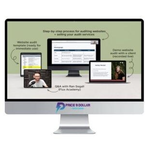 Danbee Shin – Website Audit Masterclass