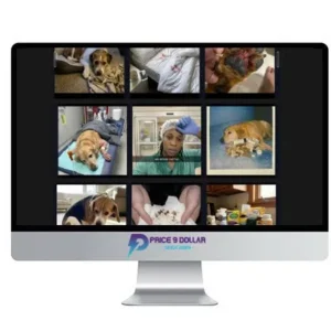 Satish Prajapati – Native Ads